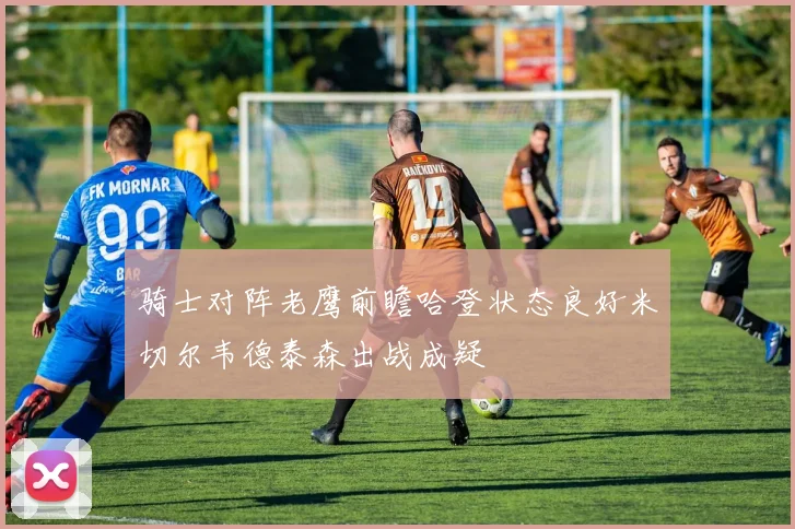 骑士对阵老鹰前瞻哈登状态良好米切尔韦德泰森出战成疑